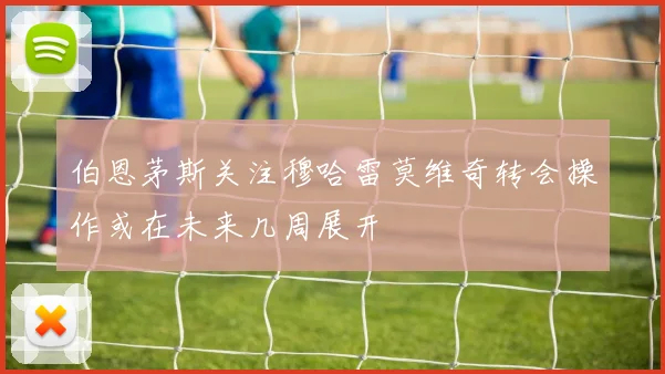 伯恩茅斯关注穆哈雷莫维奇转会操作或在未来几周展开